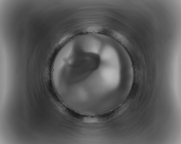 X0000086220354200704121901