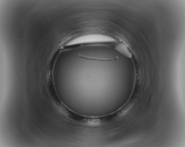 X0000086220355200704121901