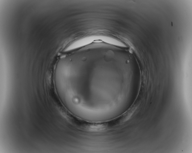 X0000086220357200704121901