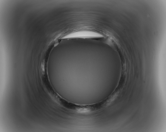 X0000086220358200704121901