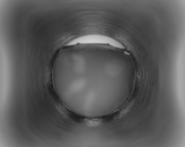 X0000086220359200704121901