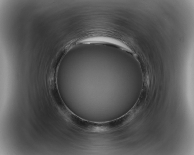 X0000086220360200704121901