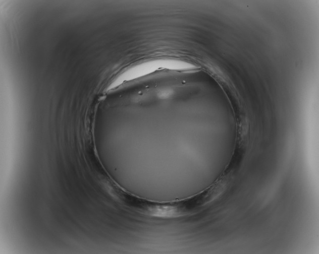 X0000086220361200704121901