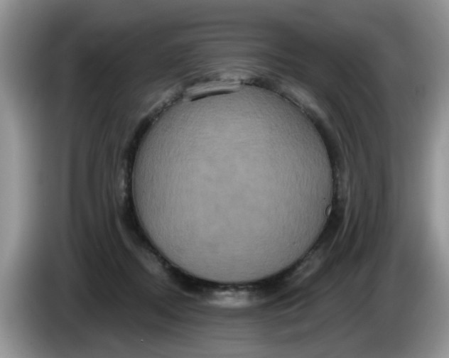 X0000086220362200704121901