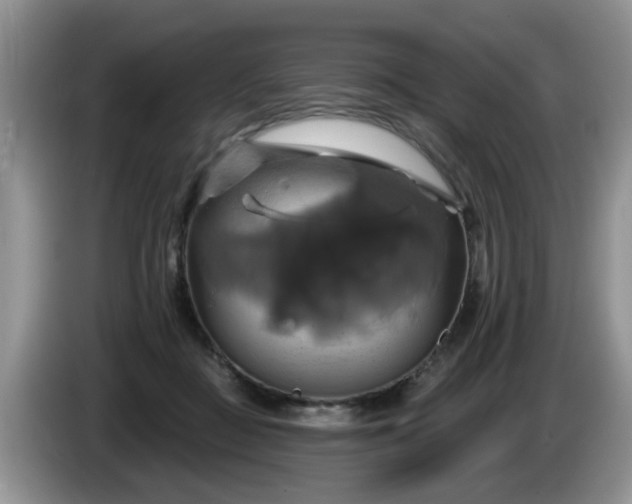 X0000086220363200704121901