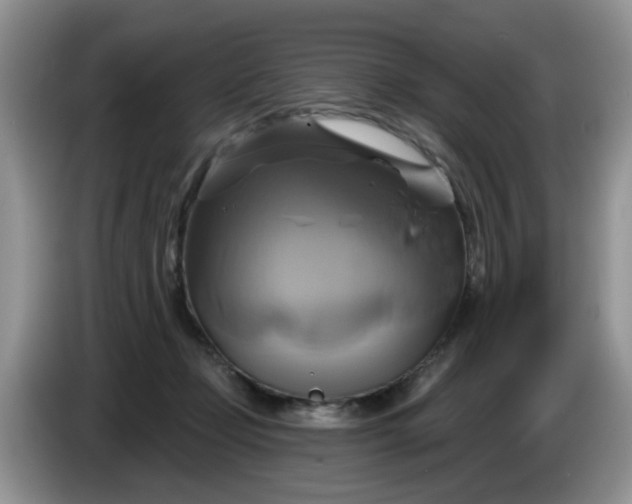 X0000086220365200704121901