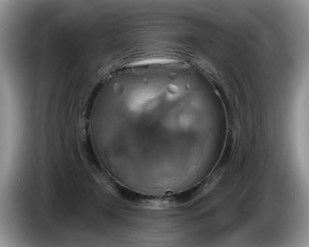 X0000086220366200704121901