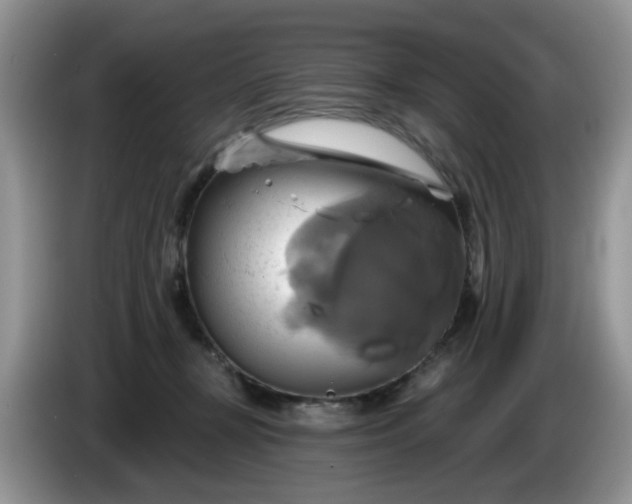 X0000086220367200704121901