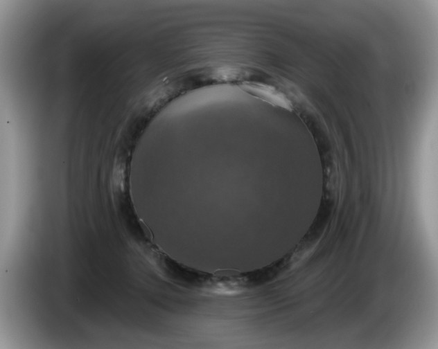 X0000086220368200704121901