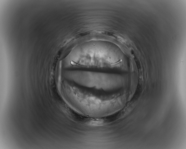 X0000086220369200704121901