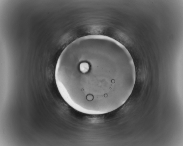 X0000086220370200704121901