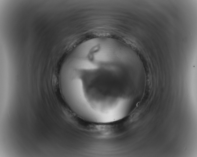 X0000086220371200704121901