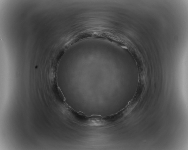 X0000086220372200704121901