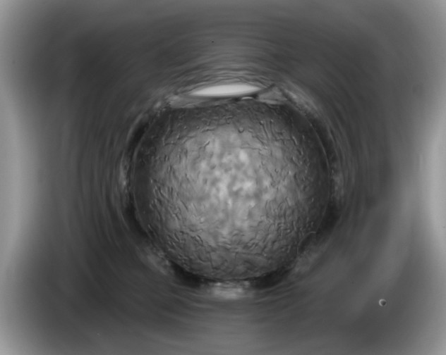 X0000086220373200704121901