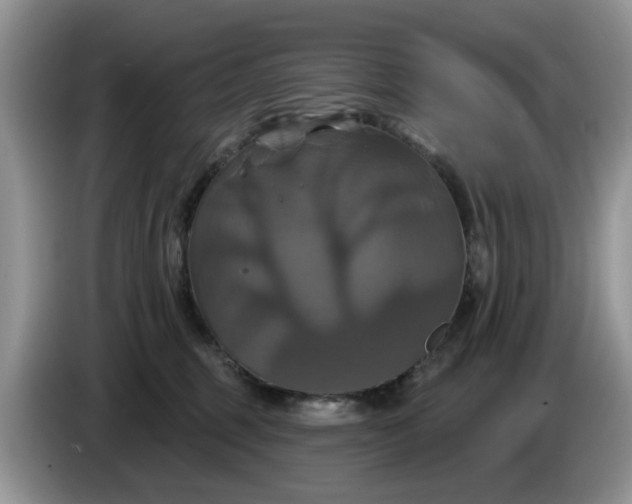 X0000086220375200704121901