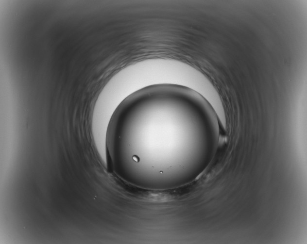 X0000086220376200704121901