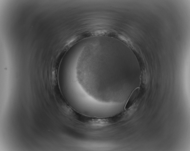 X0000086220378200704121901