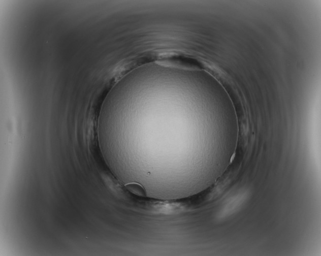 X0000086220379200704121901