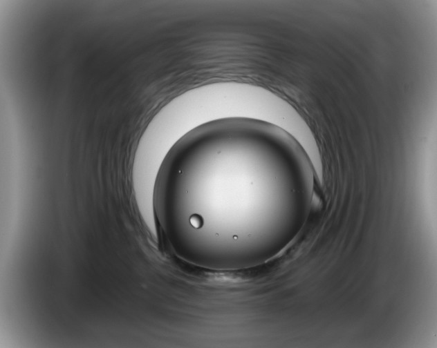 X0000086220380200704121901