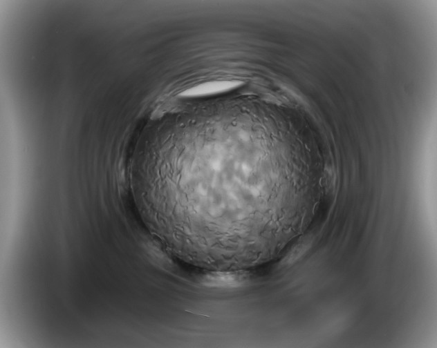 X0000086220381200704121901