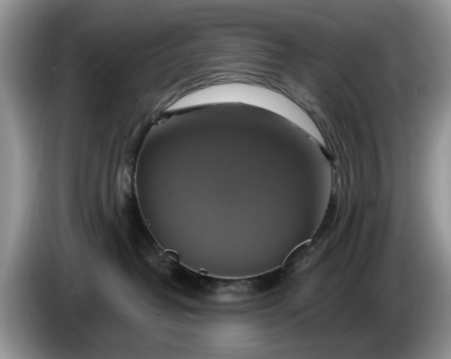 X0000086220382200704121901