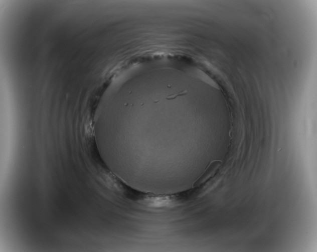 X0000086220384200704121901