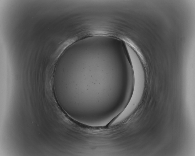 X0000086220385200704121901