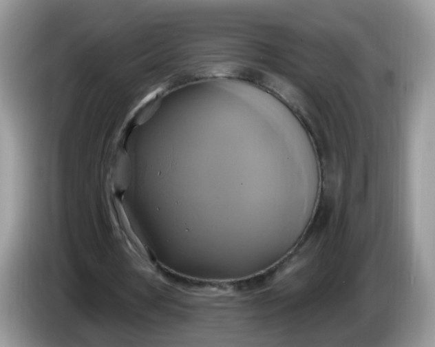 X0000086220386200704121901