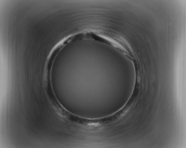 X0000086220388200704121901