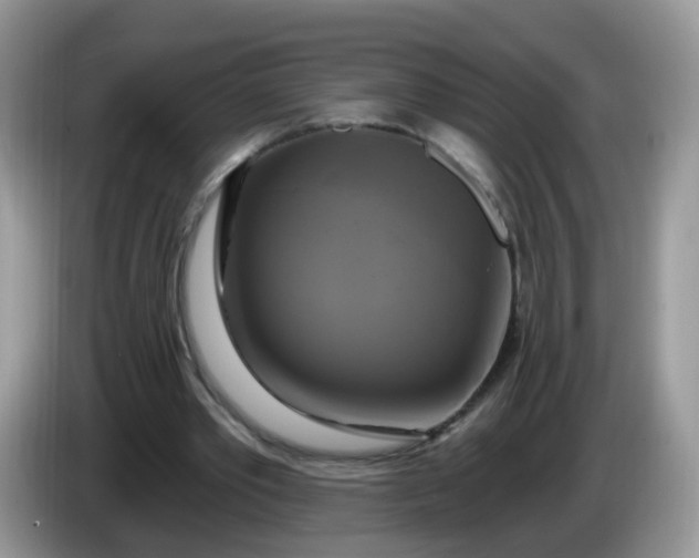 X0000086220389200704121901