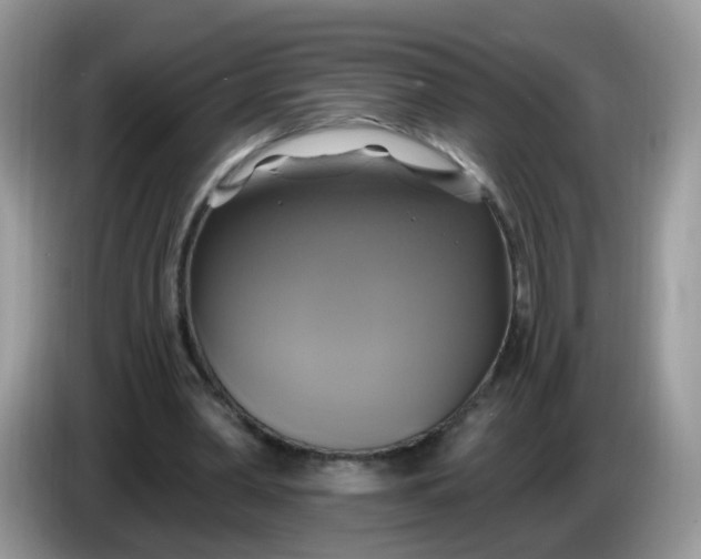 X0000086220390200704121901