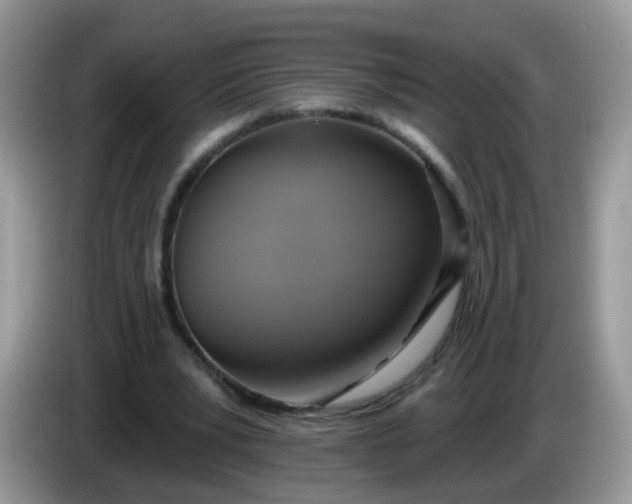 X0000086220391200704121901