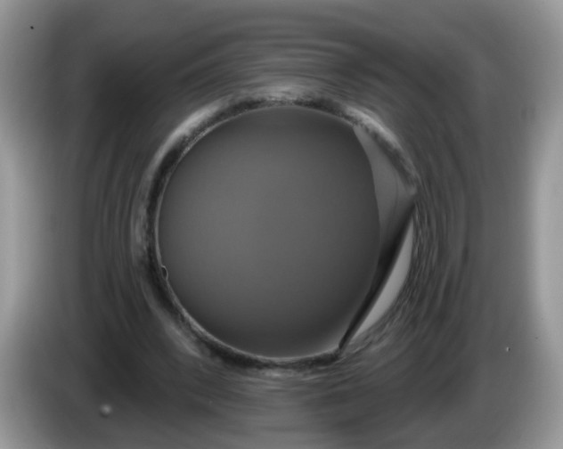 X0000086220392200704121901