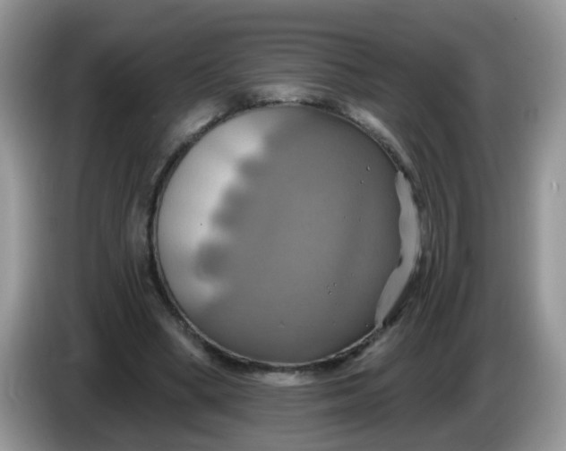 X0000086220394200704121901