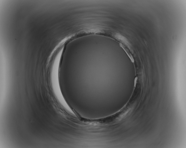 X0000086220395200704121901