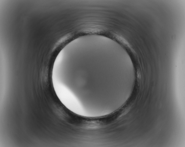 X0000086220396200704121901