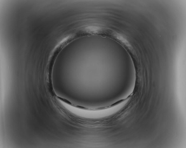 X0000086220399200704121901