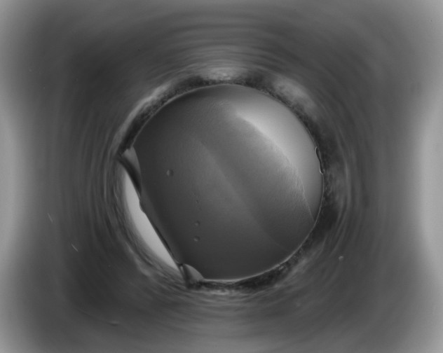 X0000086220400200704121901