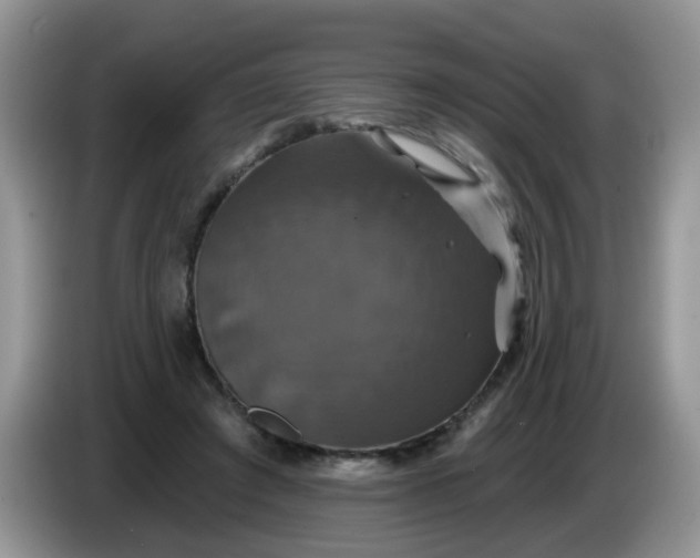 X0000086220401200704121901