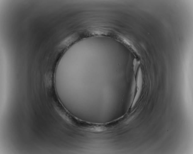 X0000086220402200704121900