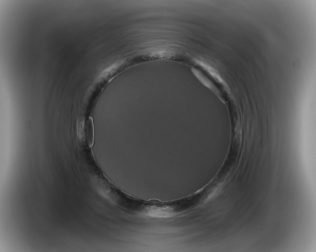 X0000086220403200704121900