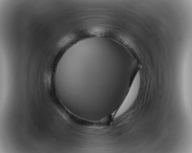 X0000086220404200704121900