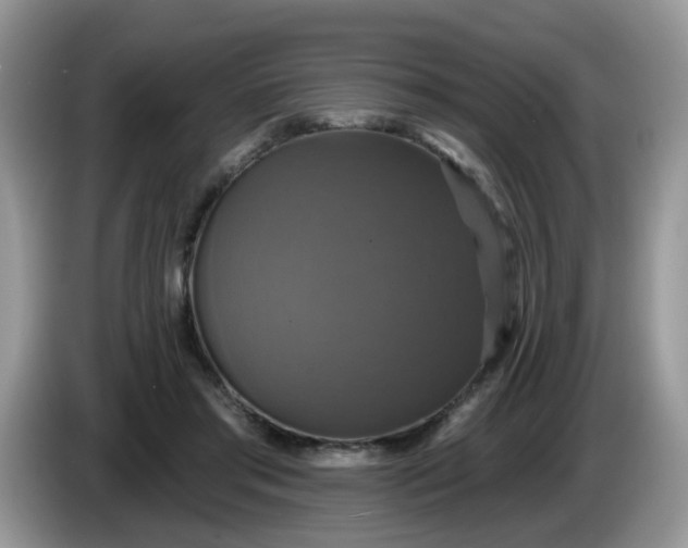 X0000086220405200704121900