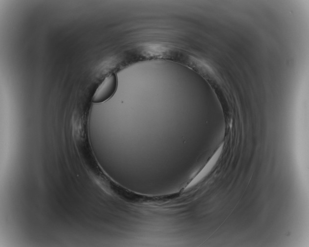 X0000086220408200704121900