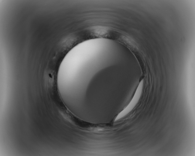 X0000086220412200704121900