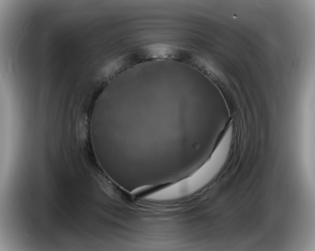 X0000086220413200704121900