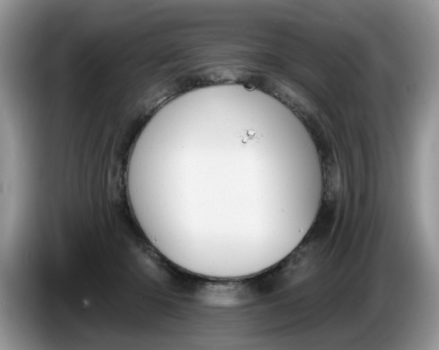 X0000086220414200704121900