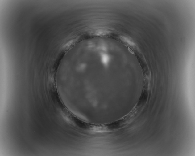 X0000086220415200704121900