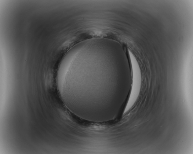 X0000086220416200704121900