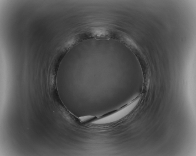 X0000086220417200704121900